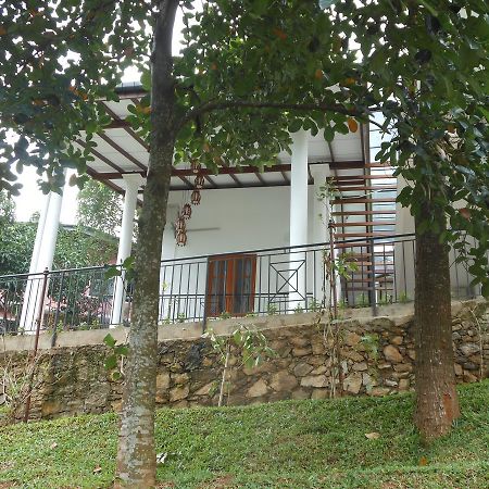 Lavender Hills Home Stay Kandy Ngoại thất bức ảnh