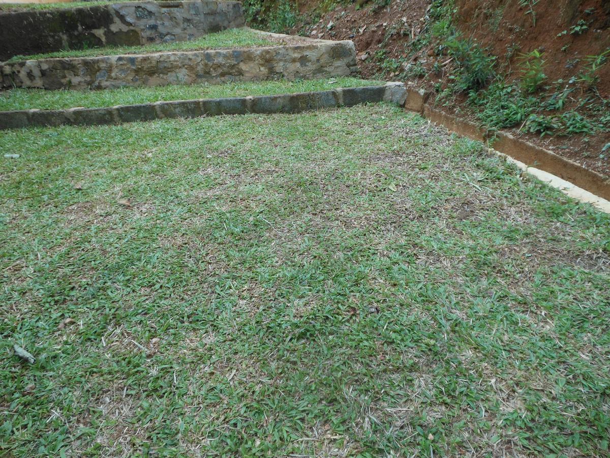 Lavender Hills Home Stay Kandy Ngoại thất bức ảnh