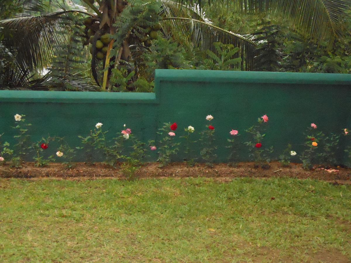 Lavender Hills Home Stay Kandy Ngoại thất bức ảnh
