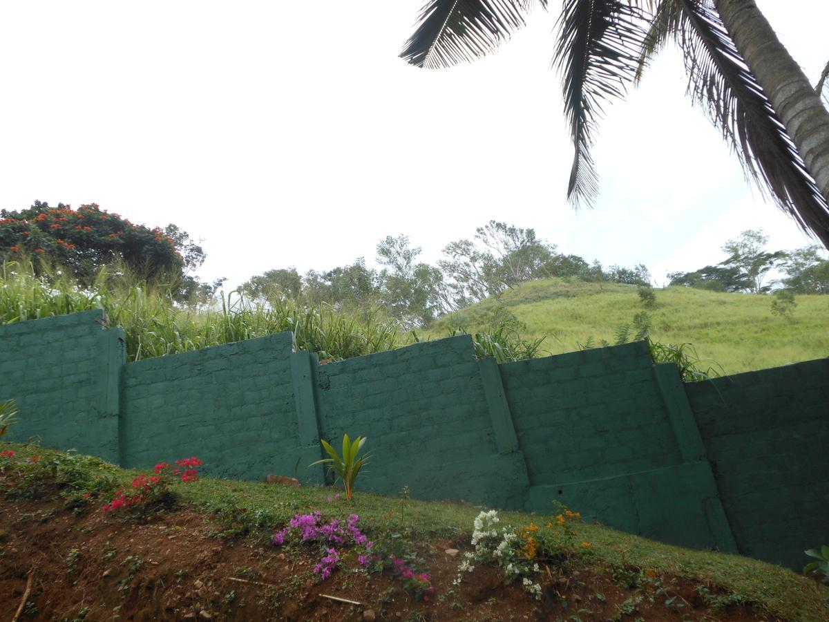 Lavender Hills Home Stay Kandy Ngoại thất bức ảnh